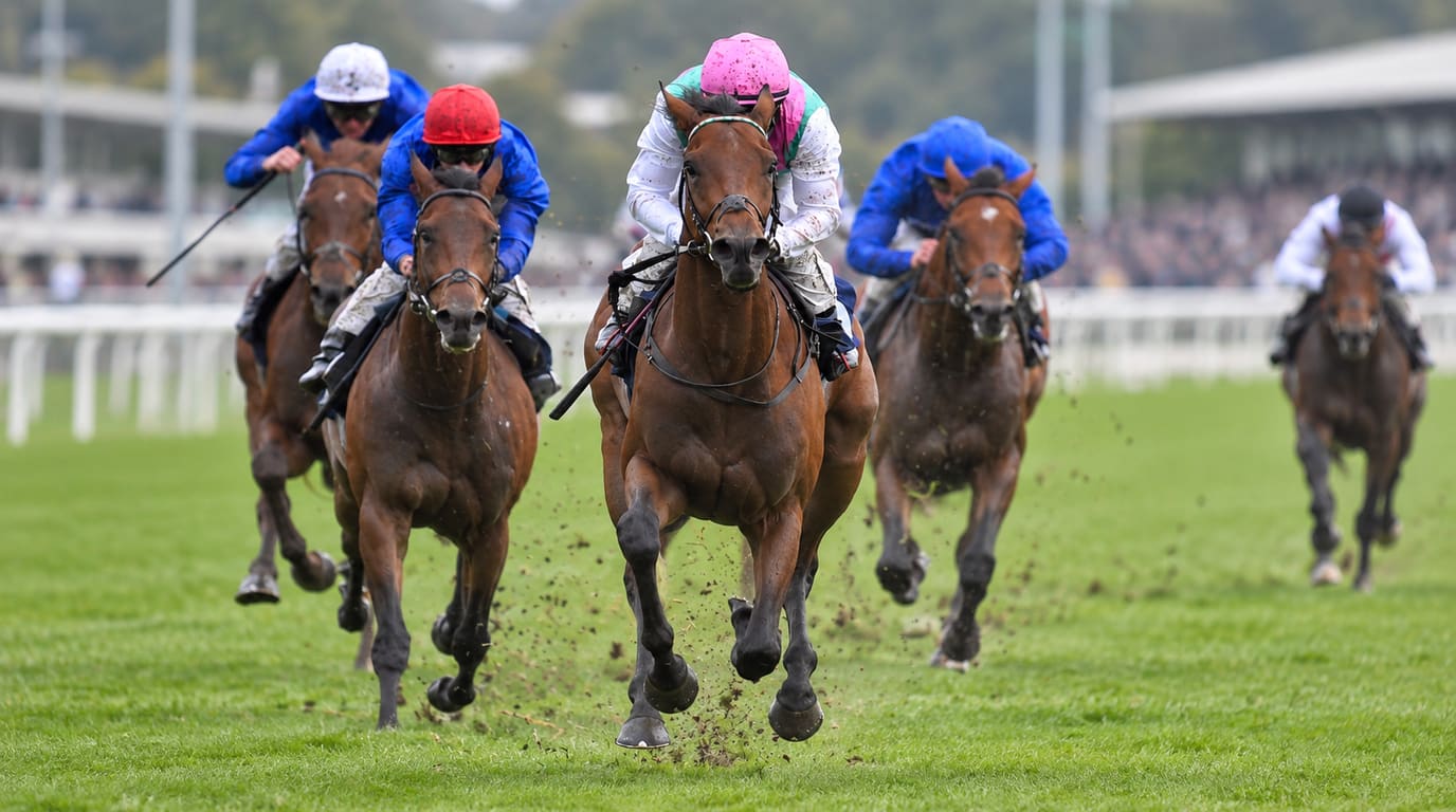 A bay racehorse ridden by a jockey in a pink cap leads a group of galloping horses down a grass track, kicking up turf in front of the stands.