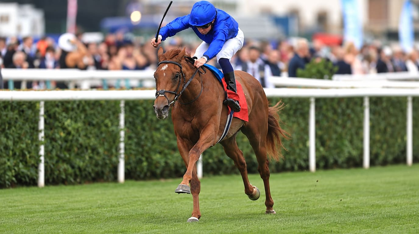 A jockey in blue silks and a blue helmet rides a chestnut filly towards the camera on the turf, with a crowd behind the white rails and hedge.