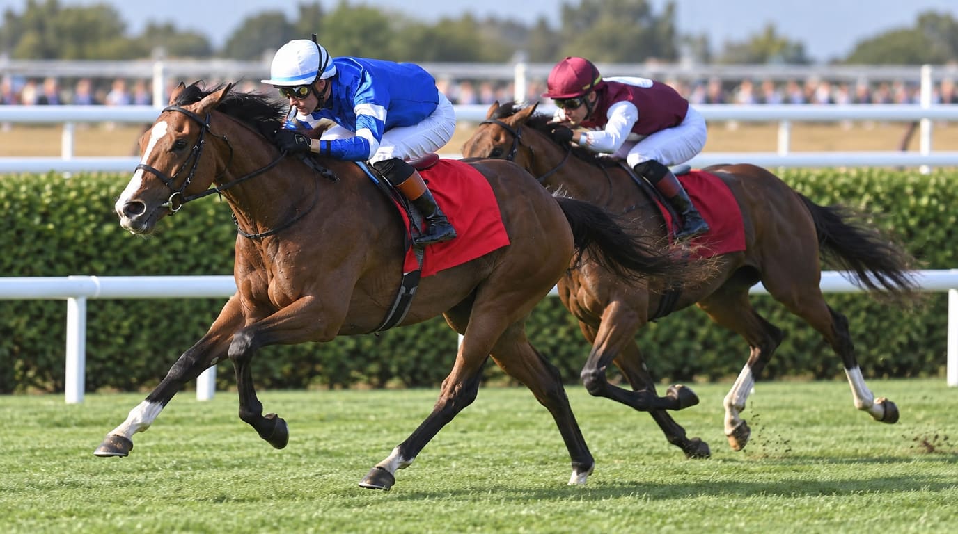Dos caballos de carreras castaños galopan sobre césped junto a una baranda blanca; el que va adelante lleva un jinete de azul y el otro, uno de granate.