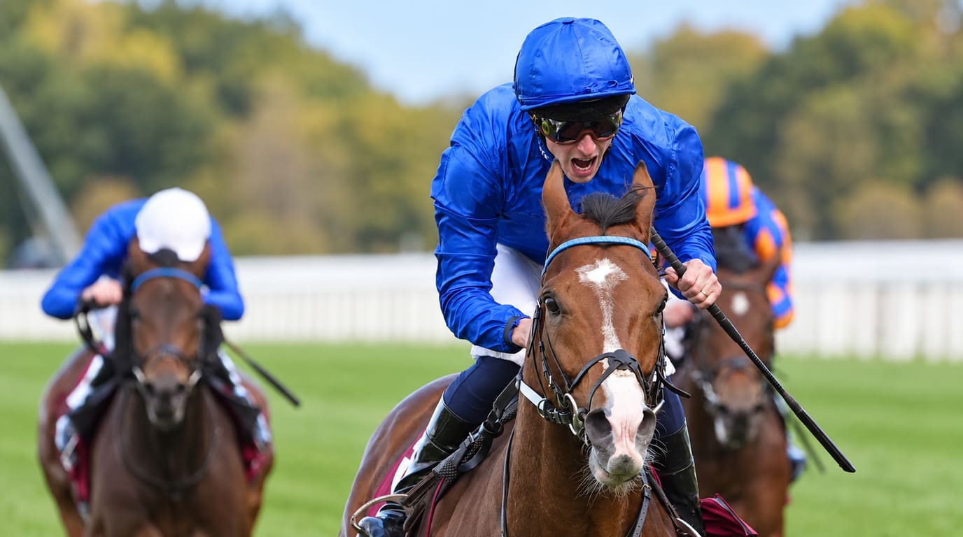 Jockey in royal blue silks shouts in triumph aboard a chestnut horse with a white blaze, leading two rivals down a green racecourse.