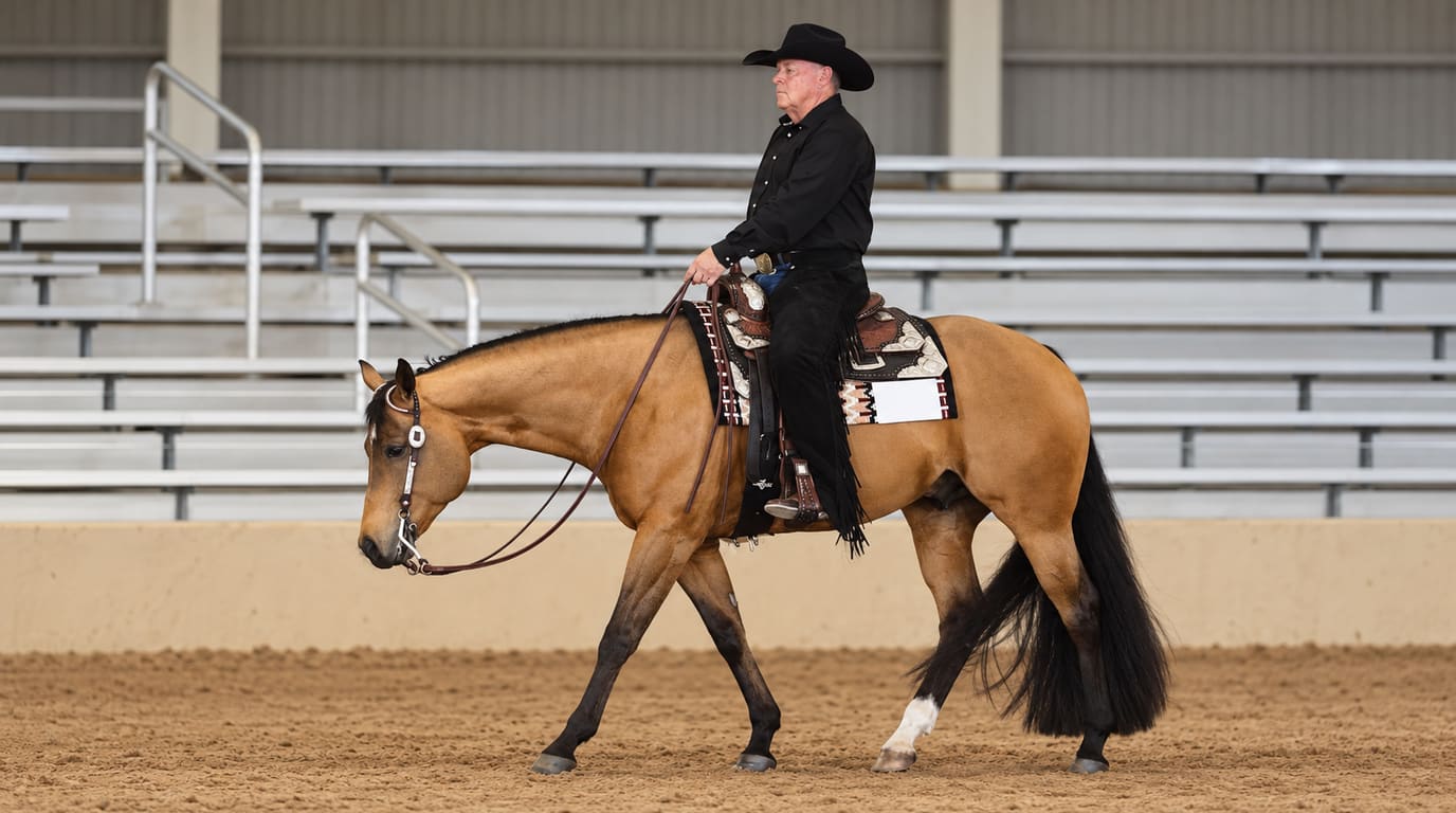 A rider in a black hat and shirt walks a buckskin Quarter Horse with a low head and draped reins past empty bleachers in an indoor show arena.