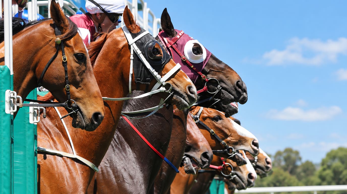 Caballos de carrera con bridas y capuchas salen juntos de los partidores verdes bajo un cielo azul, con un jinete de casco blanco detrás.