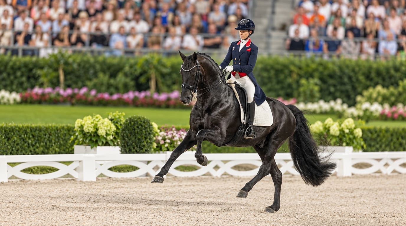 A rider in a navy tailcoat and white breeches canters a black dressage horse in a sand arena lined with white fencing, hedges and packed stands.